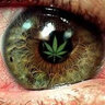 dOpeify
